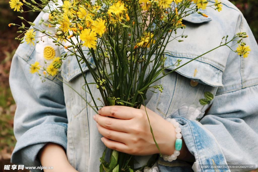 菊花