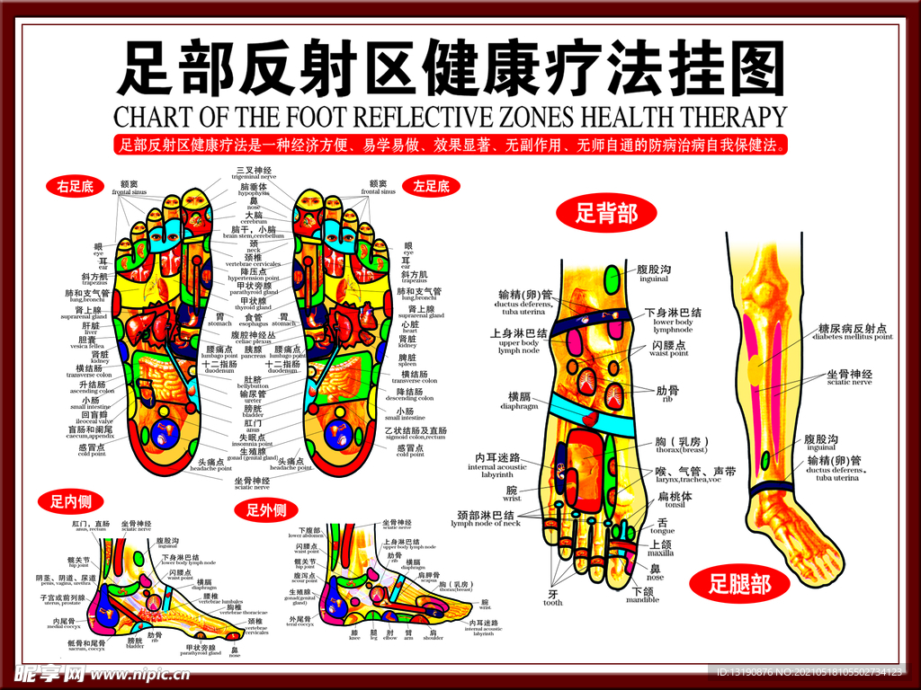 挂图