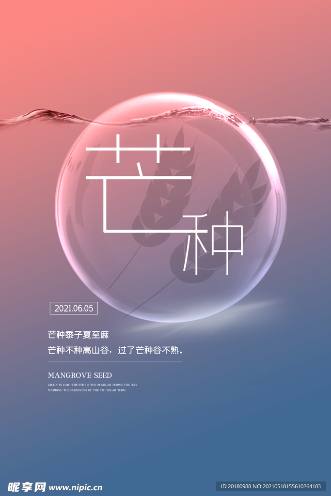 芒种