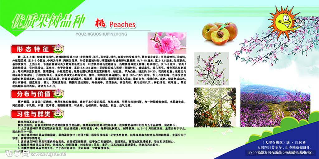 水果 果树 劳动 基地 学校 