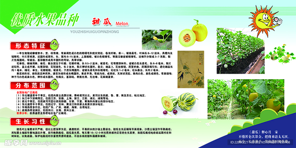 水果 果树 劳动 基地 学校 
