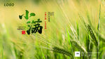 小满节气海报