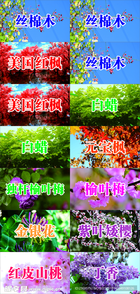 名称牌
