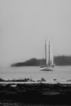 黑色海上帆船背景