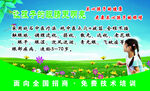 视力养护卡背面
