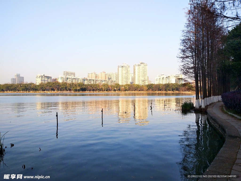 城市岸边风景图