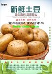 土豆海报