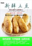 土豆海报