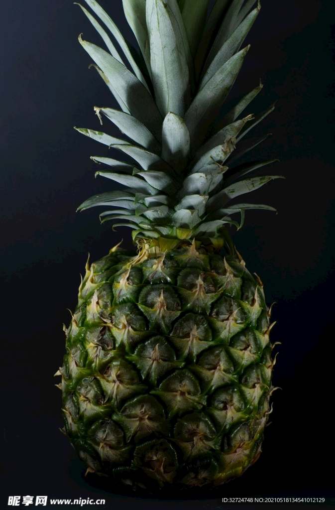 菠萝