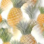菠萝插画