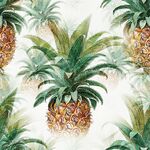 菠萝插画