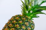 菠萝