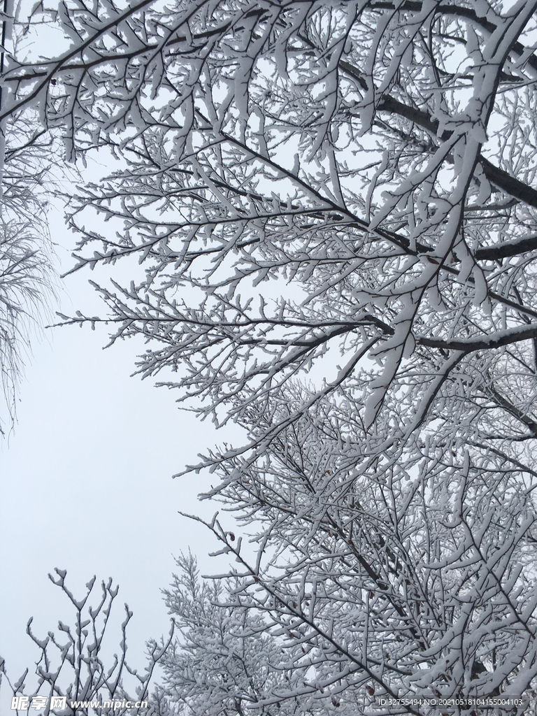 雪景