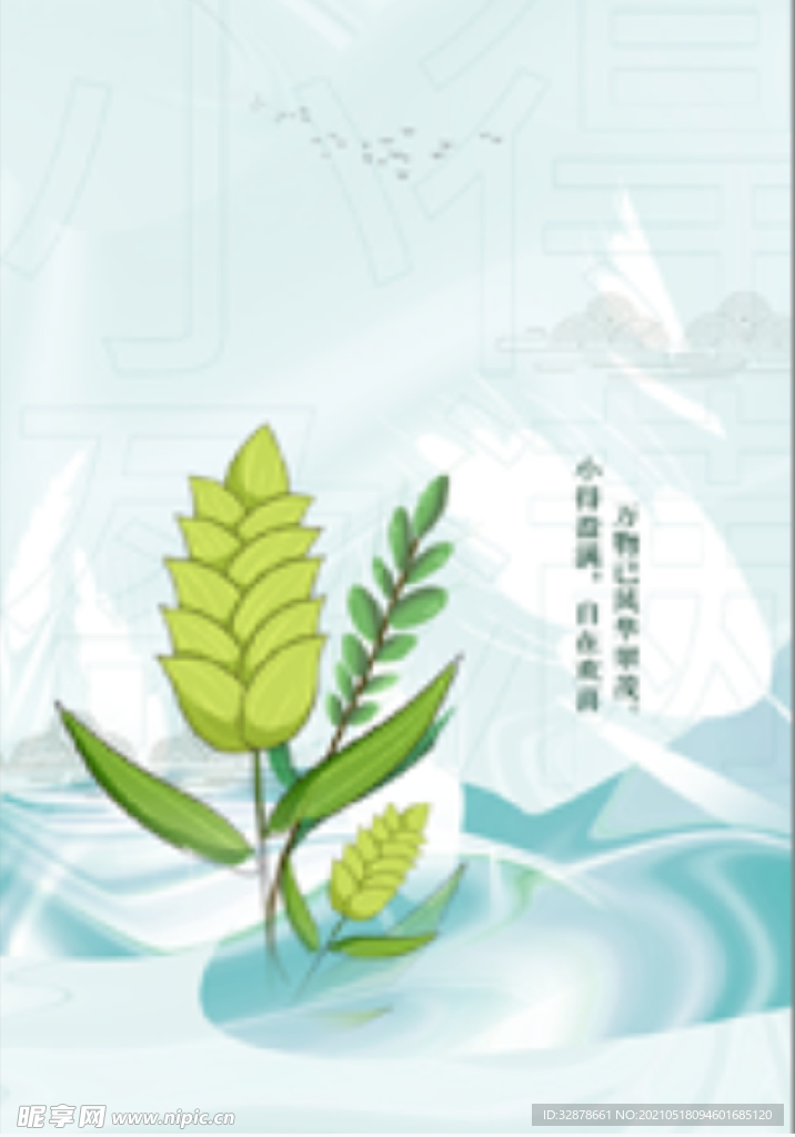 简约白色清新小满海报