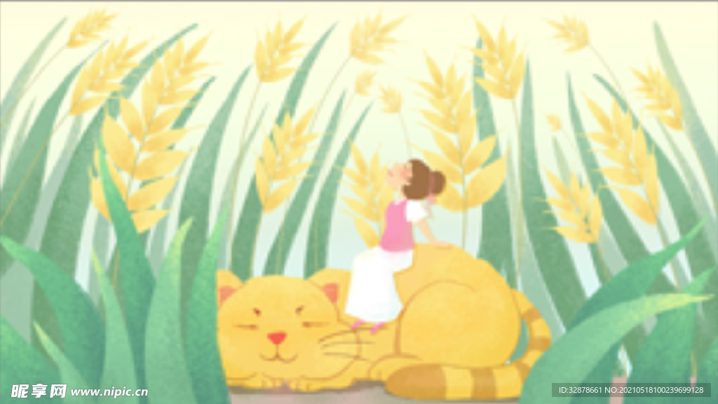手绘卡通小满节日海报猫插画