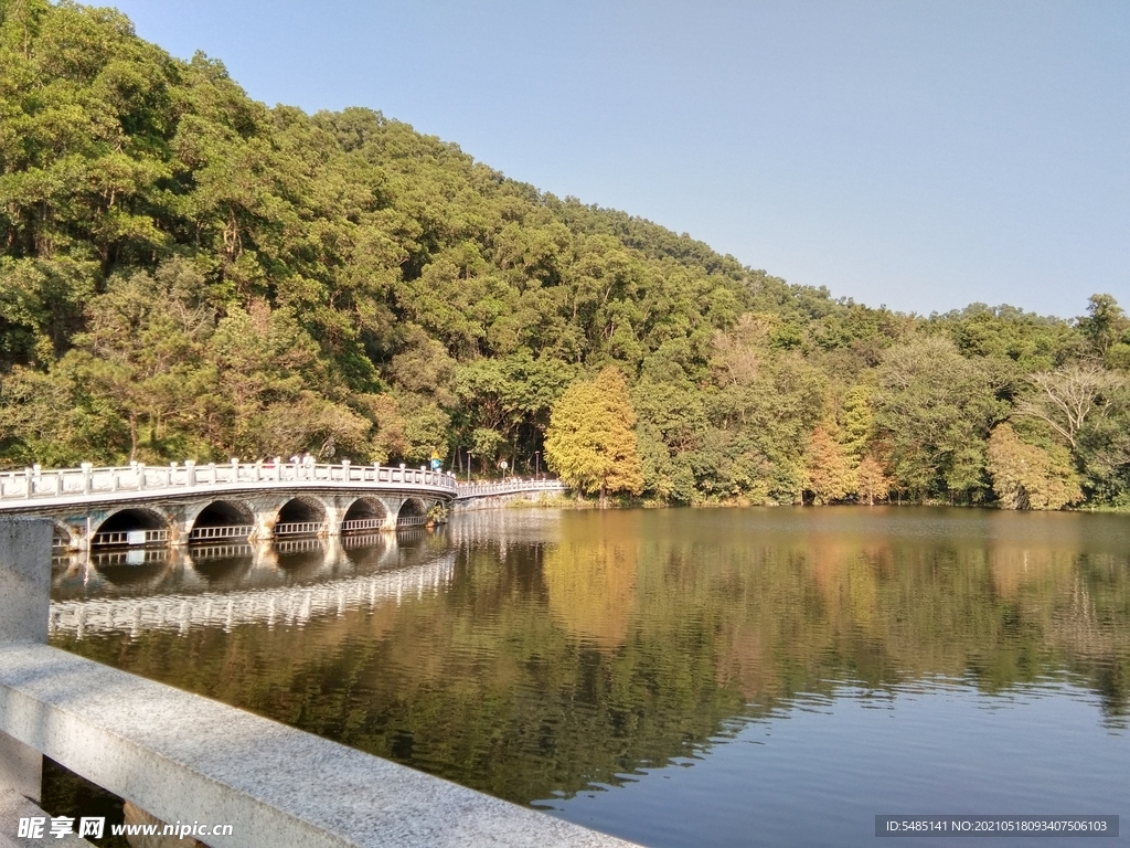 仙湖水