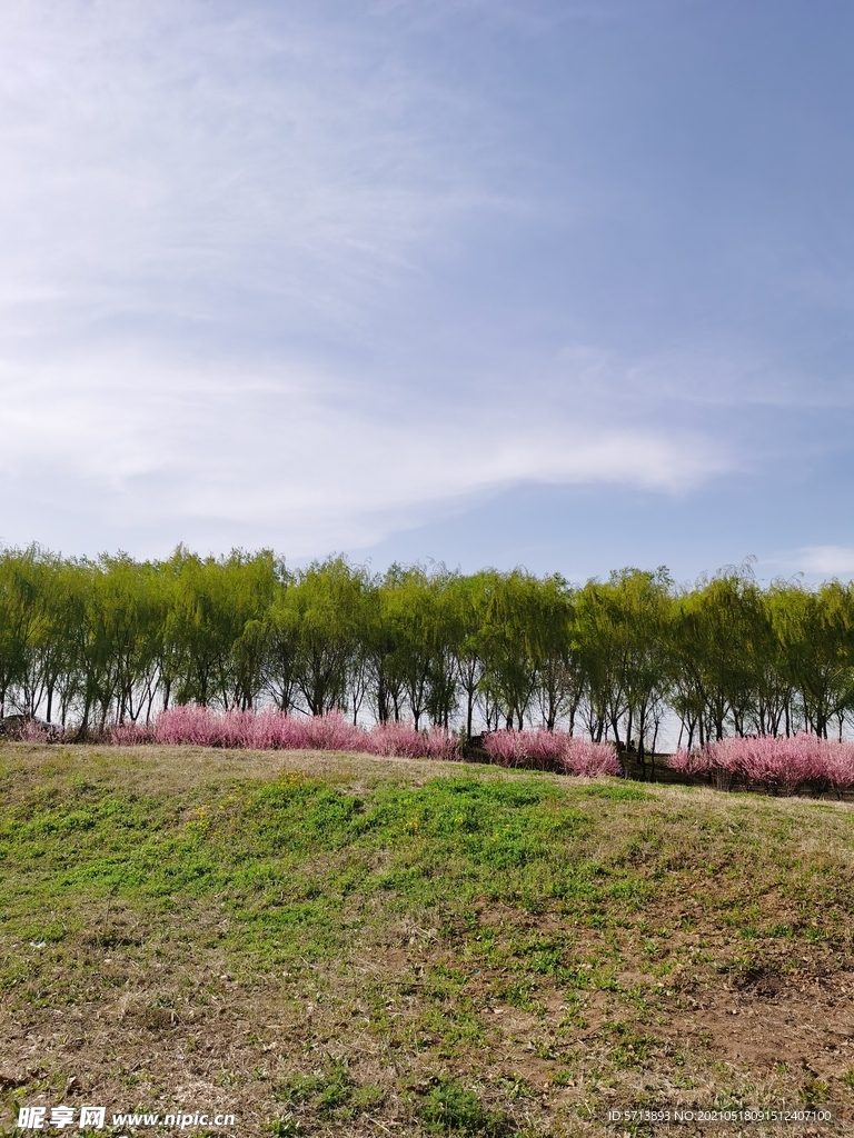 上善公园风景