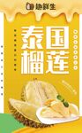 泰国榴莲展板