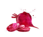 甜菜插画