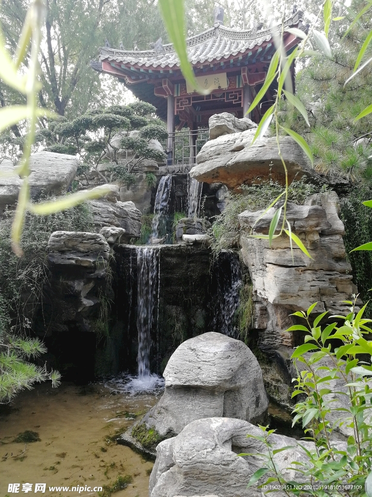 趵突泉一景