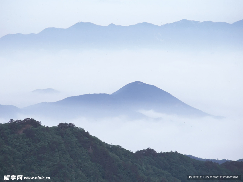 山