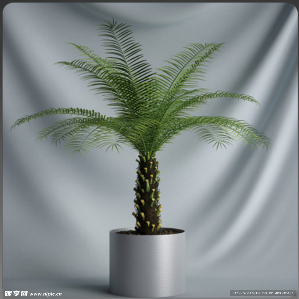 C4D模型盆栽绿色植物插花