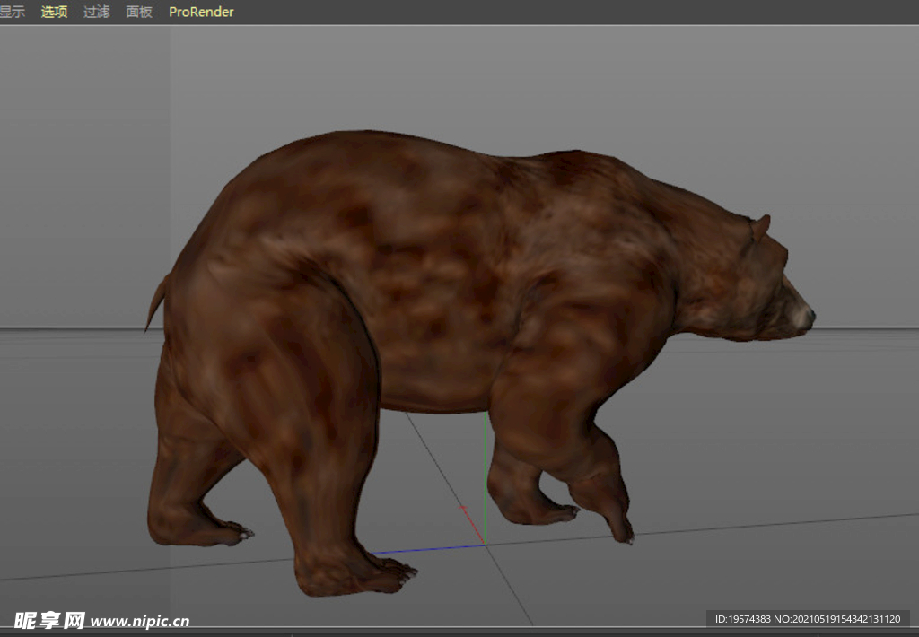 C4D模型熊狗熊