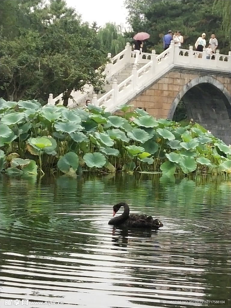 北京园明园