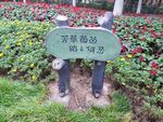 草坪标牌