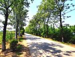 空荡荡的乡村道路风景