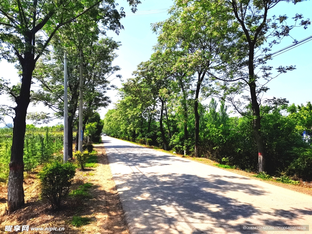 空荡荡的乡村道路风景