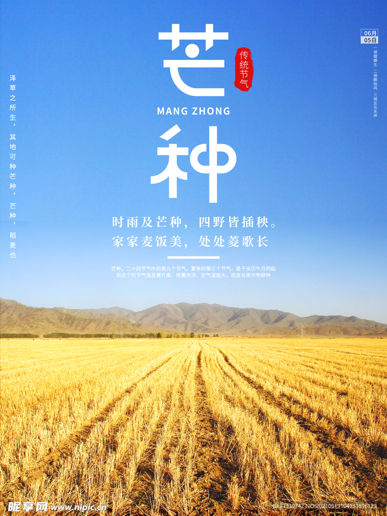 芒种宣传海报
