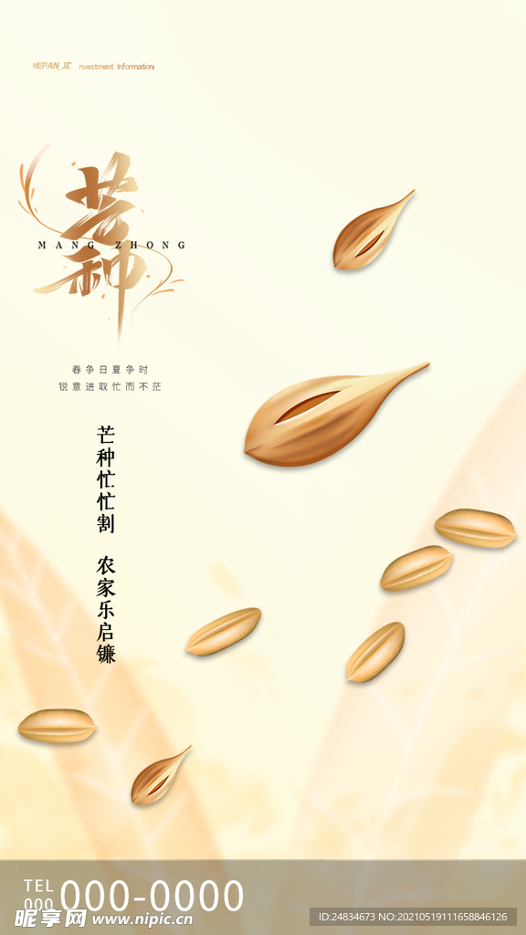 芒种