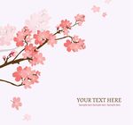 樱花图案背景
