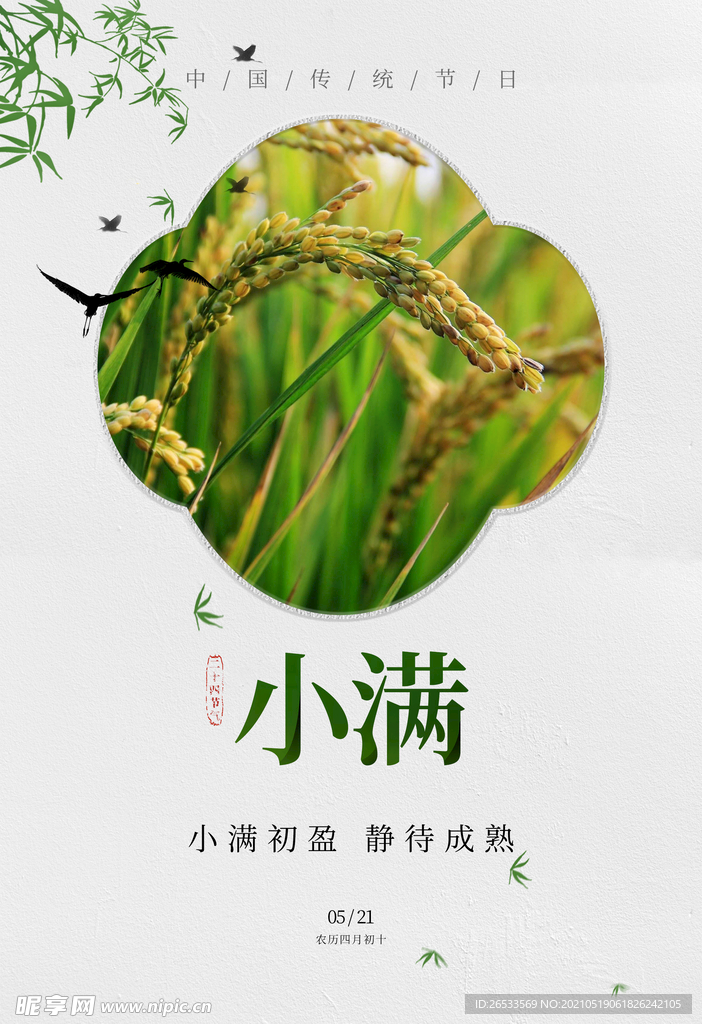 小满 中国传统节气 二十四节气