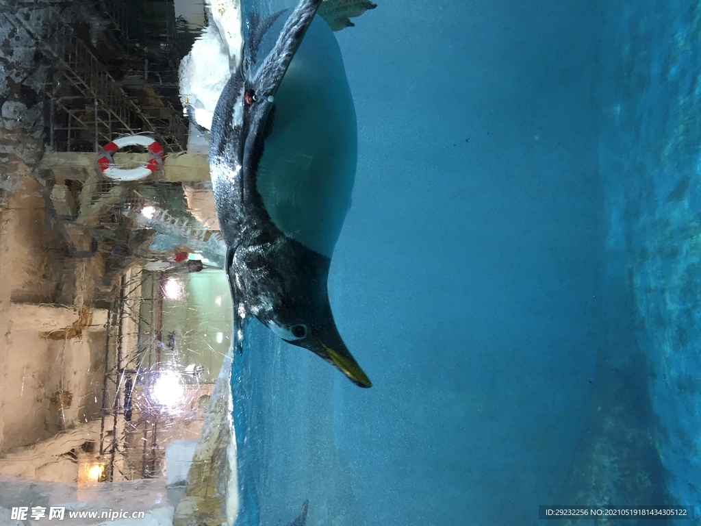 海洋馆