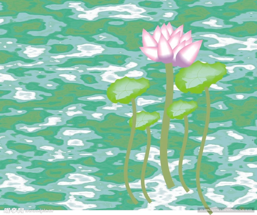 荷花