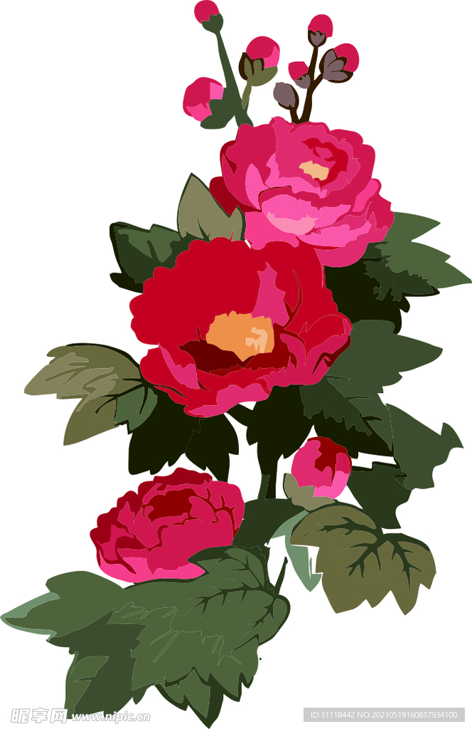 花枝