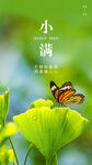 小满 二十四节气