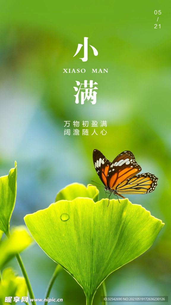 小满 二十四节气