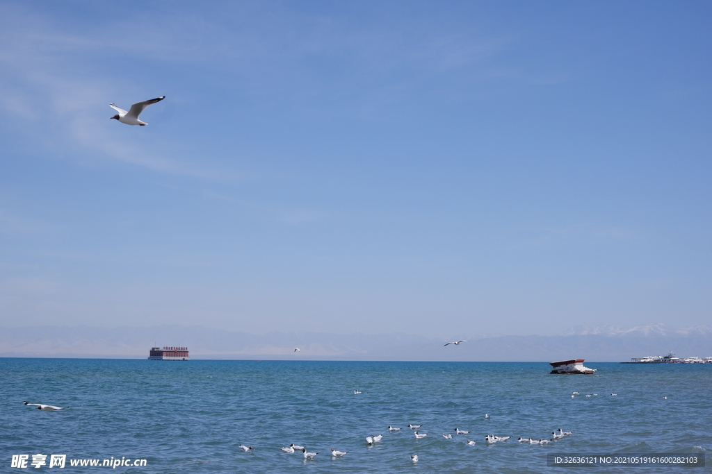 青海湖