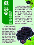 桑葚的作用与功效