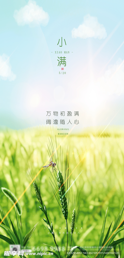 小满节日海报