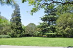 北京紫竹院公园景观草坪