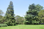 北京紫竹院公园大草坪