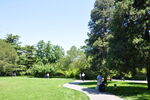 北京紫竹院公园大草坪