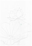 水彩花卉 冷暖色调荷花绘画步骤