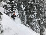 滑雪