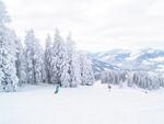 滑雪