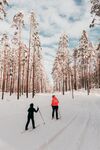 滑雪